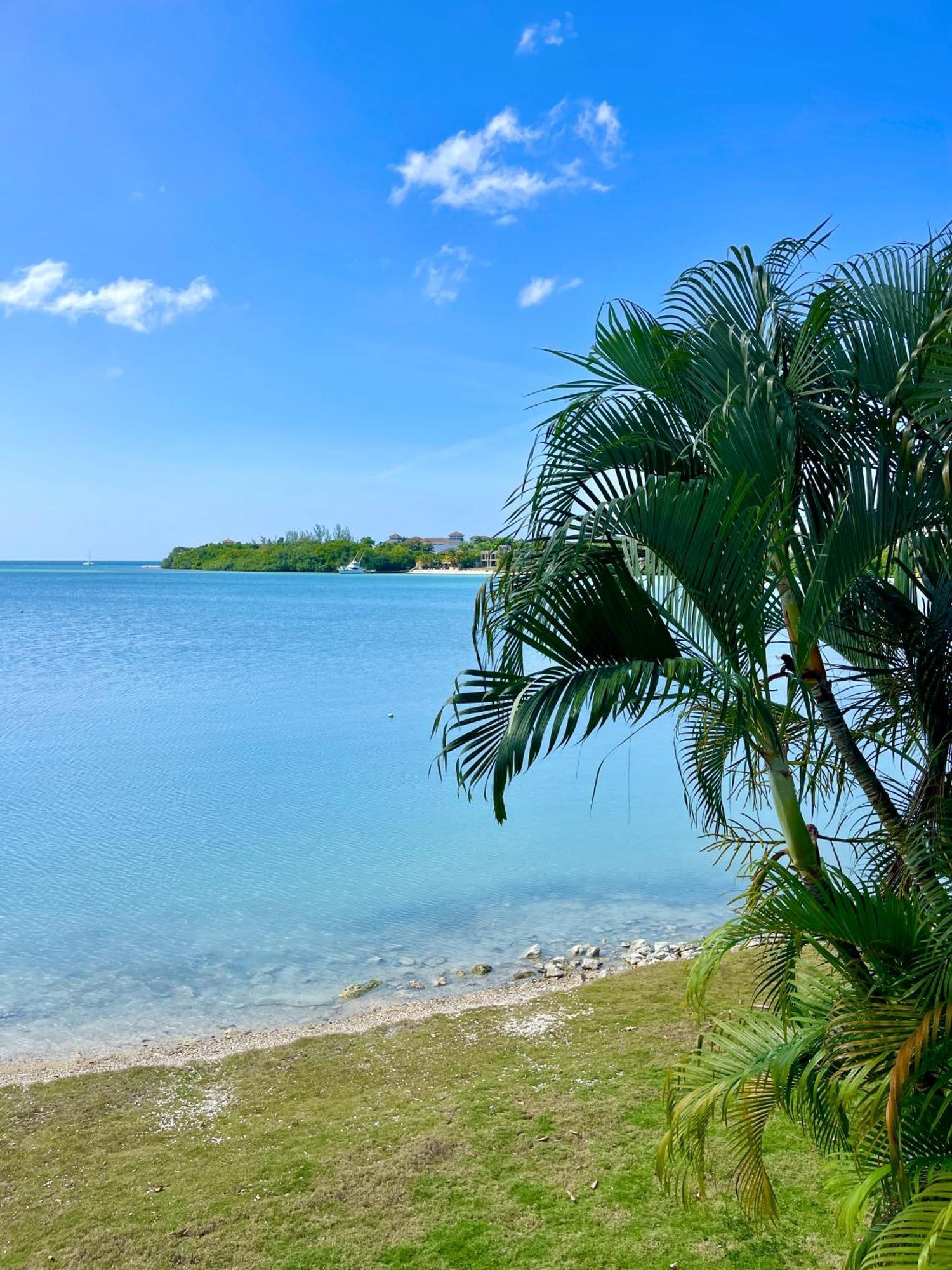 Luxury Apartments And Rooms,The Lagoons Montego Bay Exterior foto